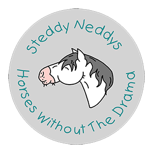 Steddy Neddys Logo
