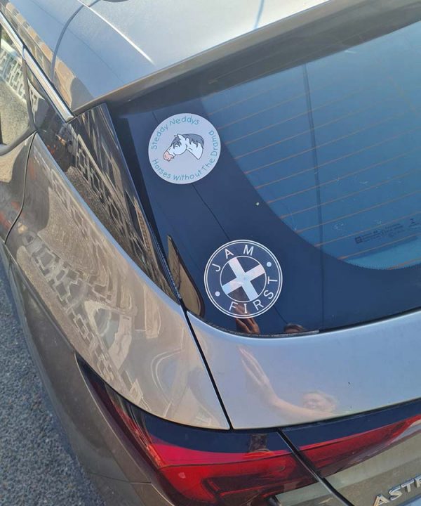 Steddy Neddys Car Sticker